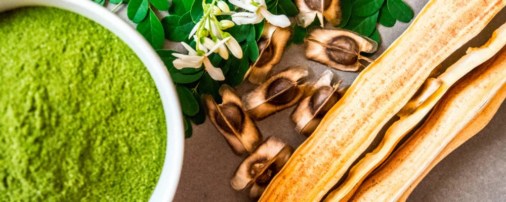 Moringa Oleífera — Vitalidad, Desinflamación y Soporte Integral (60 Cápsulas)