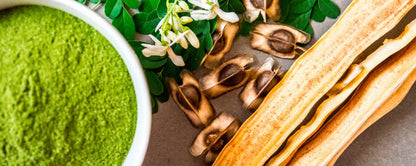 Moringa Oleífera — Vitalidad, Desinflamación y Soporte Integral (60 Cápsulas)