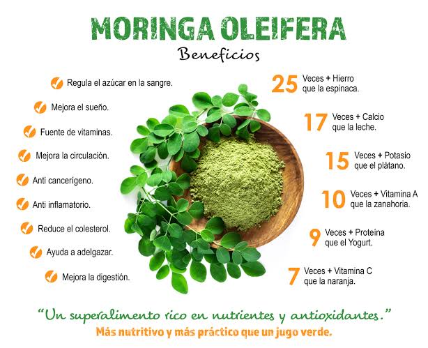 Moringa Oleífera — Vitalidad, Desinflamación y Soporte Integral (60 Cápsulas)