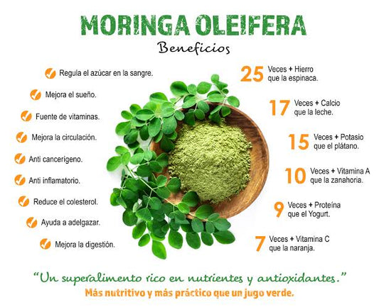 Moringa Oleífera — Vitalidad, Desinflamación y Soporte Integral (60 Cápsulas)